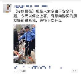 深圳深夜小莉最新爆料,揭秘事件背后惊人真相